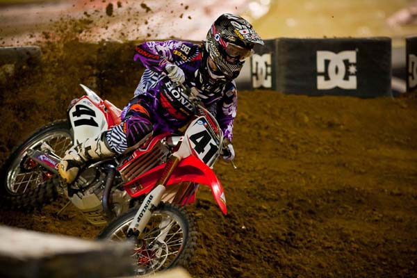 Can Canard Make it Two-in-a-Row in Toronto? (Photo Credit: Hoppenworld.com)